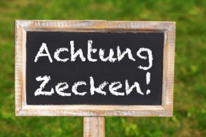 Achtung Zecken! (Foto © Fotolia / Dora Zett)