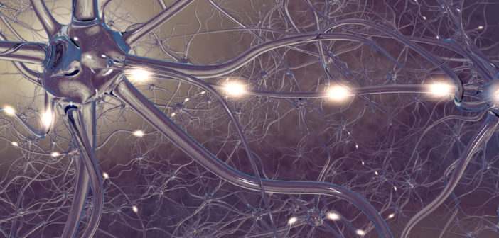 Verbund von Nervenzellen, durch die elektrische Impulse schießen (Foto © Fotolia)