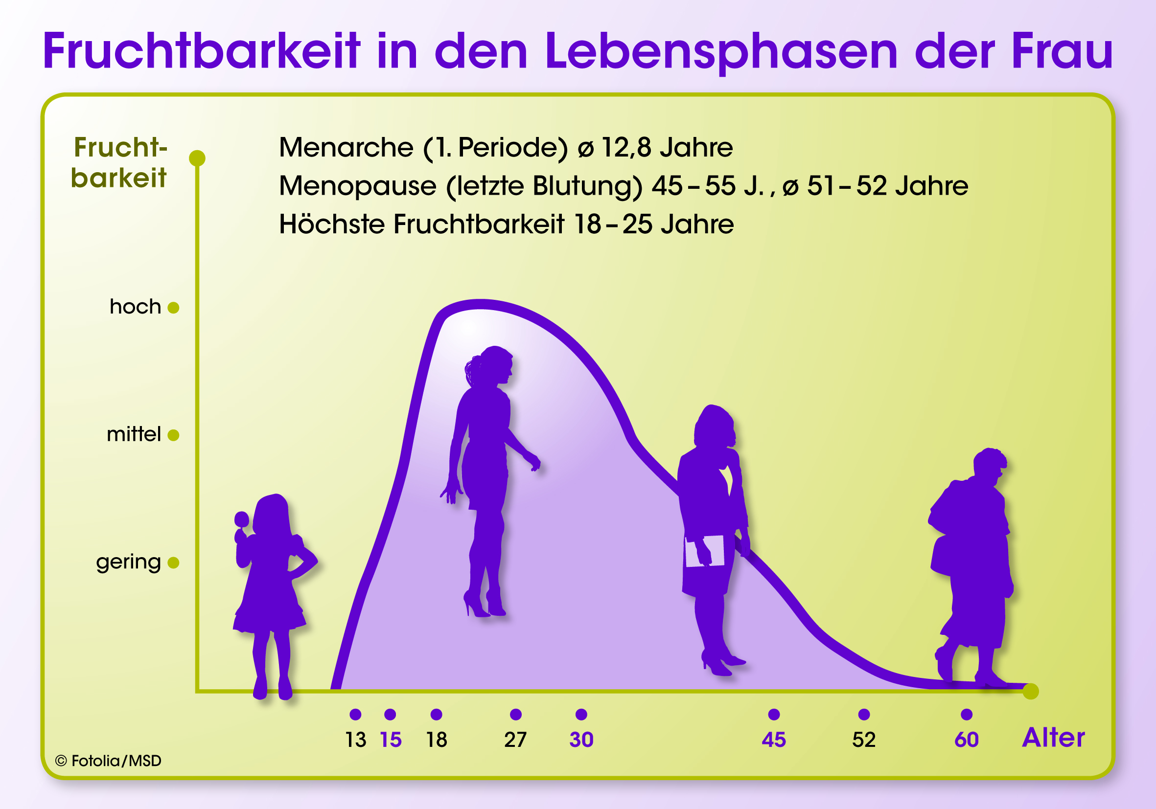 Fruchtbarkeitkurve der Frau (Grafik © MSD) 