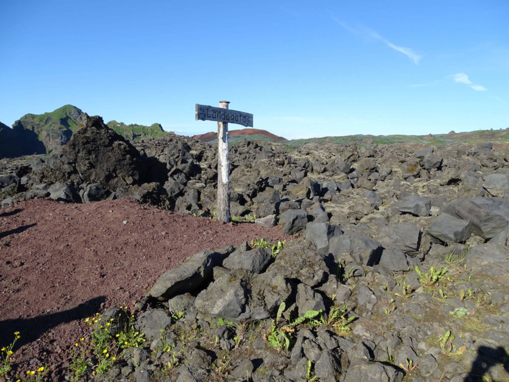 Island Heimaey Lavafeld mit Straßenwegweiser