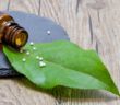 Homöopathie - Globulis