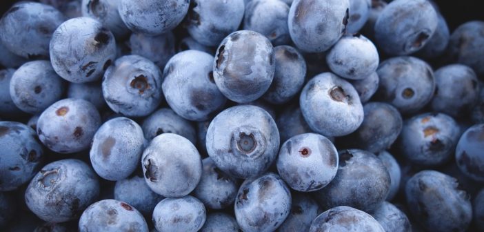 Blaubeeren - Früchte mit niedrigem FODMAP-Gehalt