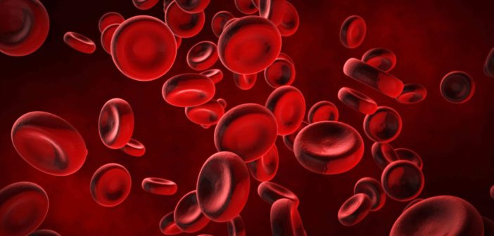 Informationen zu Polycythaemia vera, kurz PV