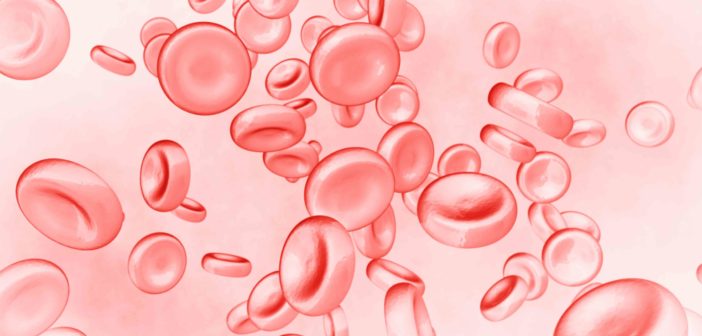 rote Blutzellen
