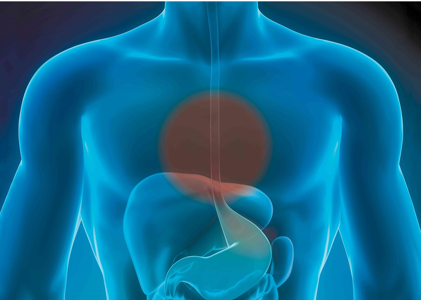 EoE das Asthma der Speiseröhre LZ Gesundheitsreport
