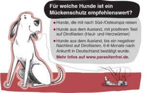 Für welche Hunde ist ein Mückenschutz empfehlenswert?