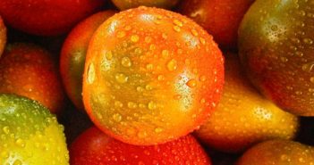 Obst und Gemüse - Was darf in den Kühlschrank?
