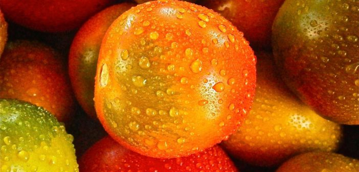 Obst und Gemüse - Was darf in den Kühlschrank?