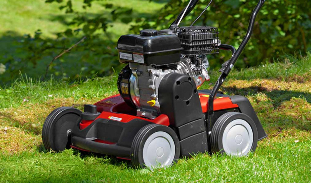 Mit "WOLF" gegen die Corona-Langeweile | LZ Gesundheitsreport