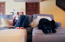 Person & Hund in Quarantäne liegen auf dem Sofa