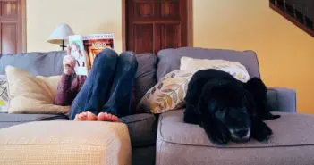 Quarantäne wegen Corona: Den Alltag mit dem Hund managen Person & Hund in Quarantäne liegen auf dem Sofa