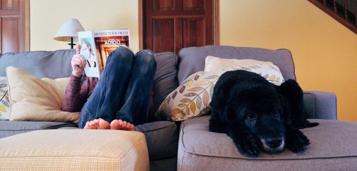 Person & Hund in Quarantäne liegen auf dem Sofa