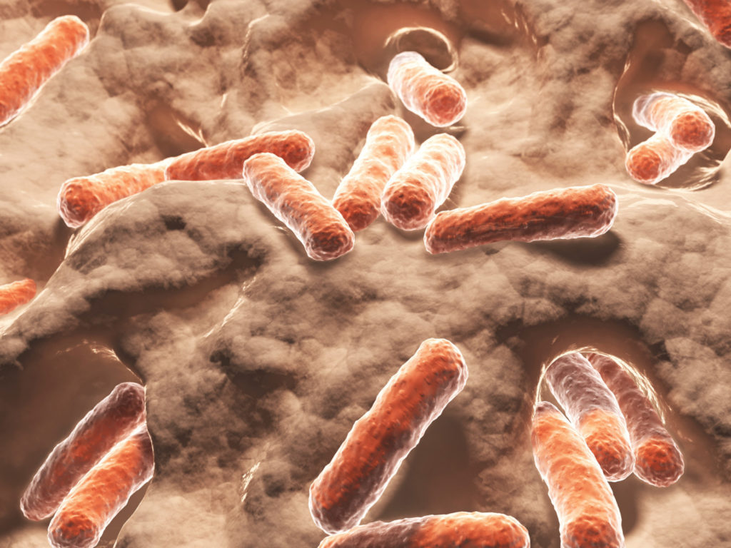 Bild von Bakterien & Bazillen bei Darmproblemen
