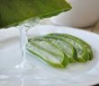 Aloe Vera Gel als Hausmittel gegen Gürtelrose (Herpes Zoster)