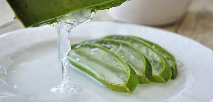 aloe vera tücher 120 Stück Aloe Vera Make-up-Entferner-Tücher – MSmakeupoem.com