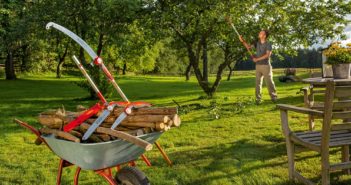 Mann bei der Baumpflege im Garten ohne Leiter