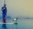 Ein Mann steht mit seinem Hund auf einem Standup Paddle Board mitten auf einem ruhigen See.