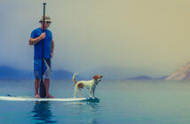 Ein Mann steht mit seinem Hund auf einem Standup Paddle Board mitten auf einem ruhigen See.