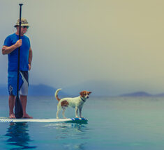 Balance halten! Parkinson – Eine Frage des Gleichgewichts