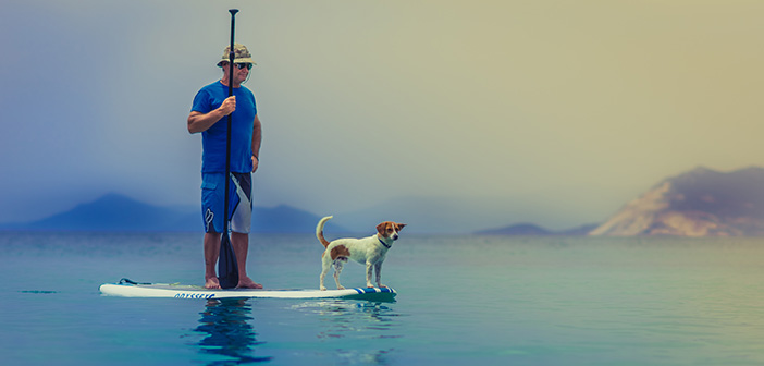 Ein Mann steht mit seinem Hund auf einem Standup Paddle Board mitten auf einem ruhigen See.