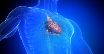 © Adobe Stock: 3D-gerenderte medizinische Illustration des Herzens eines Mannes